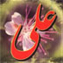 مناقب حضرت علی (ع) در قرآن کریم (1)